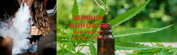 ГАЛЛЮЦИНОГЕННЫЕ ГРИБЫ Балахна